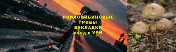 apvp Домодедово