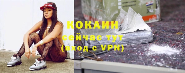 крисы Майский
