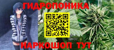 a pvp Абинск