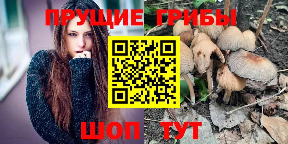 Псилоцибиновые грибы Psilocybe  Вход с VPN  Псилоцибиновые грибы Cubensis  Камень-на-Оби 